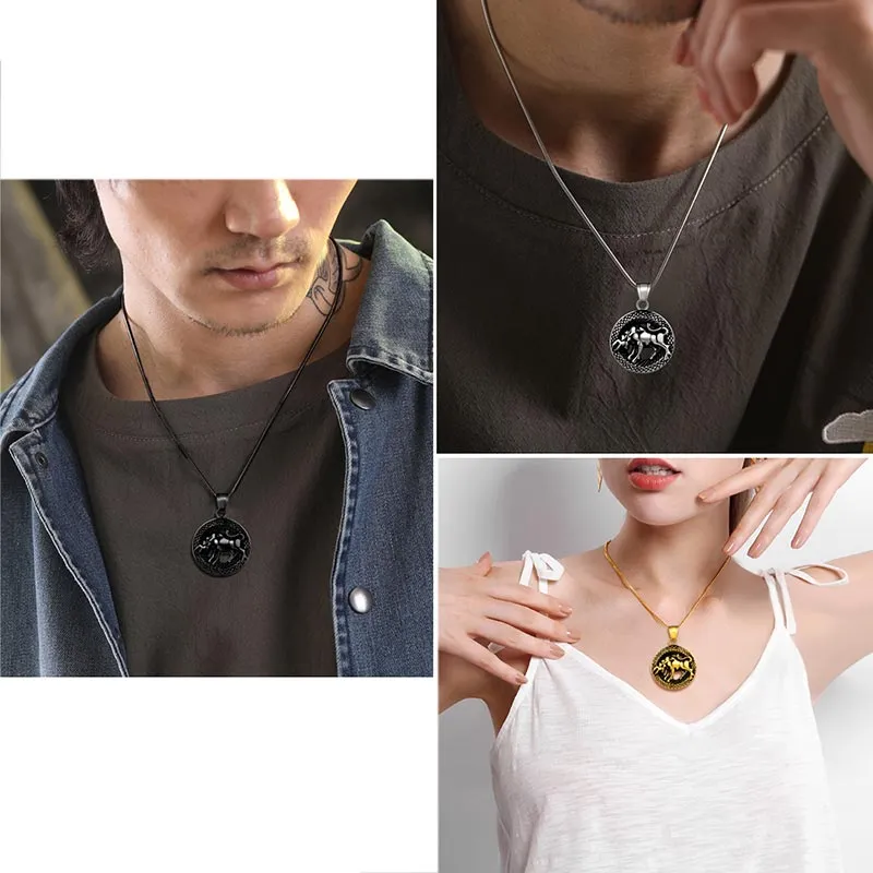 Tokyo Mart Men Zodiac Taurus Necklace Pendant Star Sign Constellation Jewelry Women Boys Girls Birthday Gift