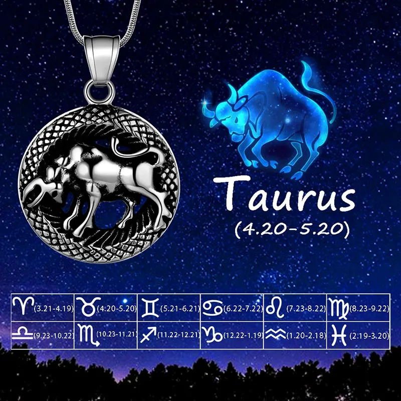 Tokyo Mart Men Zodiac Taurus Necklace Pendant Star Sign Constellation Jewelry Women Boys Girls Birthday Gift